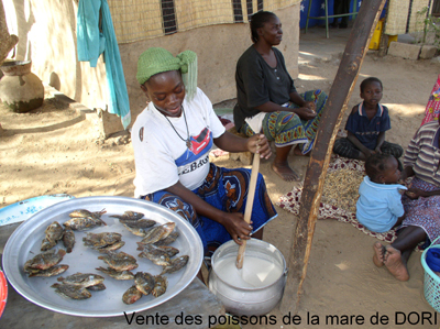 Vendeuse de poissons de la mare de Dori préparant le tô, plat traditionnel à base de farine de mil